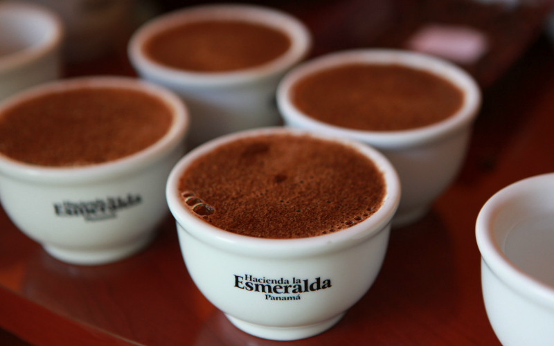Cups-of-Brewed-Esmeralda-Geisha-601